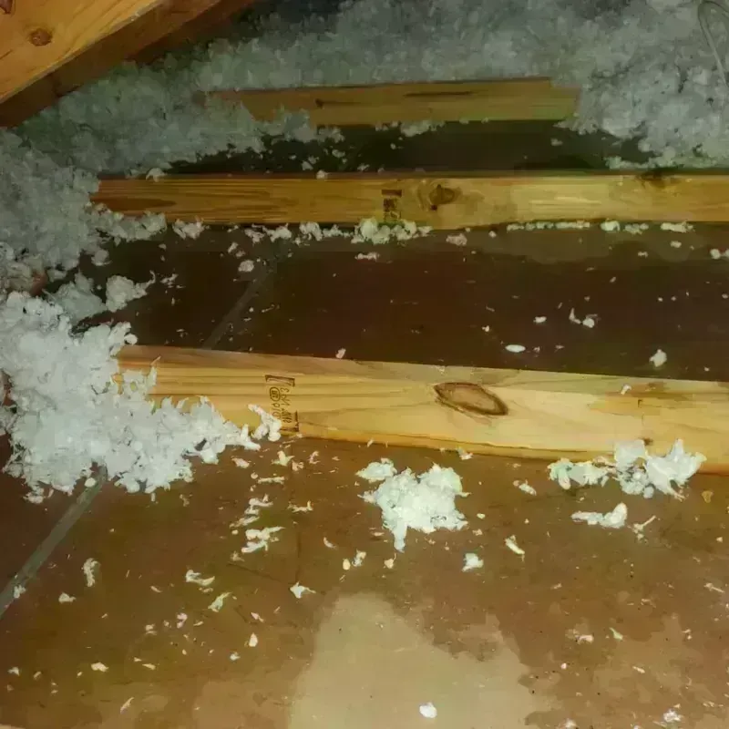 Attic Water Damage in Corinth, MS